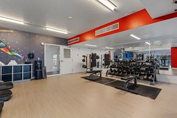 A gym with a variety of equipment including treadmills, weights, and exercise machines.